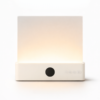 The Night Reader's Lamp